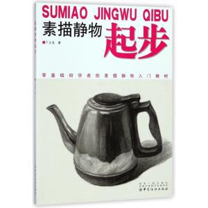正版新书]素描静物起步丁立龙 著9787518047222