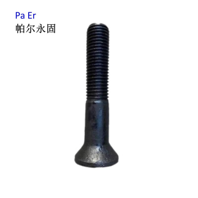 帕尔永固 沉头带榫螺栓20×75mm 个