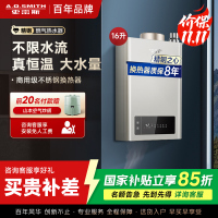史密斯 16升燃气热水器 不锈钢换热器8年包换 负压燃烧更安全 恒温大水量 家用5系列