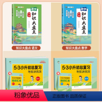 [4本]知识大盘点+53小升初 语文+数学 小学通用 [正版]新版小学知识大盘点语文数学英语全套人教版小升初复习资料一到