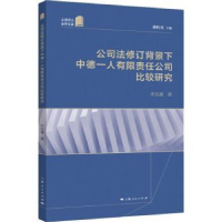 音像公司法修订背景下中德一人有限责任公司比较研究:::朱泓睿著