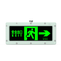 讯博士 BZD240 220V 3W IP66 ExibIICT6 Gb LED 防爆标志灯(计价单位:盏)灰色