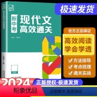 新中考现代文 全国通用 [正版]2024新版现代文高效通关 新中考语文阅读理解专项训练书初中生初一初二七年级八年级议论文
