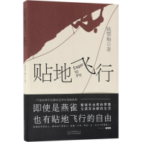 音像贴地飞行姚鄂梅 著