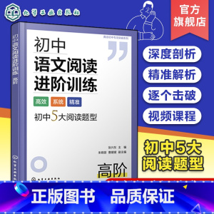 高阶 初中通用 [正版]初中语文阅读进阶训练 高阶 初中语文答题公式解题思路梳理 初中语文阅读核心考题解读 趣味思维导图