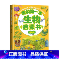 我的第一本生物启蒙书(基础篇) [正版]贝拉熊我的第一本物理启蒙书生物化学小学生一二三四五六年级课外书3-6-8-10-