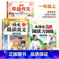 [全套提升]阅读力训练 晨读美文 同步作文 六年级上 [正版]大语文精读阅读力训练阅读理解一年级上册二年级三四五六上册人