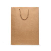 秦泰(Cqint) QtZD-001 20*25*8cm 小号竖式牛皮纸袋 10个/包(计价单位:包)
