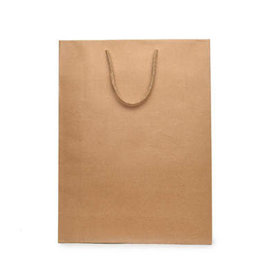 秦泰(Cqint) QtZD-001 20*25*8cm 小号竖式牛皮纸袋 10个/包(计价单位:包)