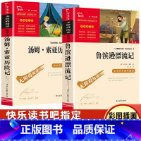 [正版]鲁滨逊漂流记汤姆索亚历险记小学生快乐读书吧六年级下册课外阅读书 儿童文学青少年版6年级必读鲁滨孙漂流记商务印书
