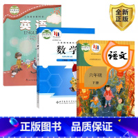 [正版] 人教版六年级下册语文+ 北师大版数学+ 科普版英语起点三 科学普及出版社人民教育出版社六下语文数学英语6下全