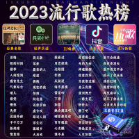 [补贴10%]汽车载U盘无损高音质品质车用2023抖音新歌曲网红dj经典音乐优盘