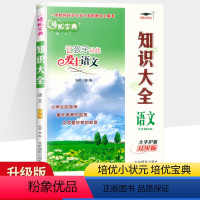 知识大全 [正版]培优宝典 知识大全语文 大字护眼升级版 让孩子从此爱上语文小学知识集锦基础知识手册全国通用版小升初总复