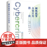 正版 网络犯罪办案实务指南 任留存 金嬿 程睿 马飞 陆旭 孙浩 著 法律出版社 9787519791384