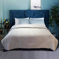 华人情思 大豆春秋被 200*230cm/床