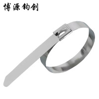 博源钧创 304不锈钢扎带 4.6*850MM 根
