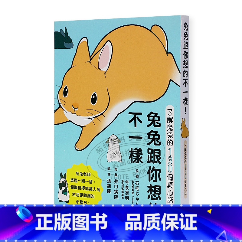 [正版]在途 石毛じゅんこ兔兔跟你想的不一样!了解兔兔的130个真心话今泉忠明 枫叶社文化 剪刀手明空读书 原版进口书