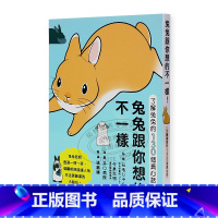 [正版]在途 石毛じゅんこ兔兔跟你想的不一样!了解兔兔的130个真心话今泉忠明 枫叶社文化 剪刀手明空读书 原版进口书
