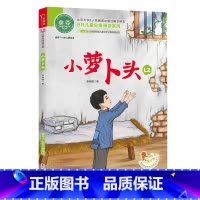 ao鹅注音版 小萝卜头 [正版]ao鹅注音版 小萝卜头适合6-7岁儿童幼儿大语文分级阅读童话故事书一二年级小学生课外阅读