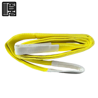 顺心捷 扁平吊装带 3T4M 个