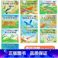 [10本240页]科普一 [正版]儿童绘本3一4一6岁幼儿园阅读绘本故事书0-1到3岁动物科普幼儿百科毛毛虫小蝌蚪找妈妈