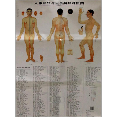 [M]人体经穴与主治病症对照图(第2版)-9787534972973
