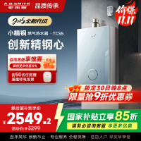 史密斯佳尼特[小精钢TCS5]13升精钢燃气热水器 国家补贴 JSQ26-TCS5 安全守护 持久恒温大水量 新品