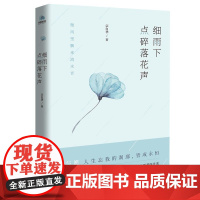 细雨下点碎落花声 宗白华北京联合出版公司