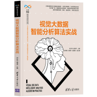 正版新书]视觉大数据智能分析算法实战刘衍琦、曲海洋、 刘明明
