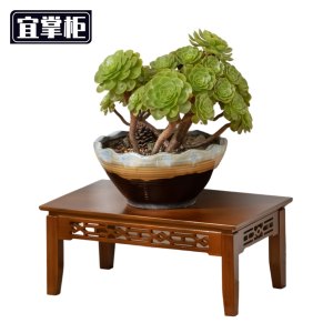 宜掌柜 花 架