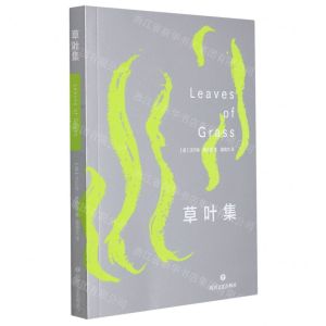 [N]草叶集-9787541161278