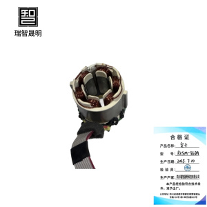 瑞智晟明(RZSM)定子RZSM-36DA