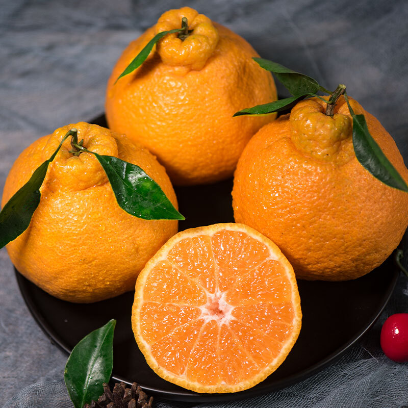四川眉山新鲜不知火丑橘 水果丑桔带箱约10斤特大果