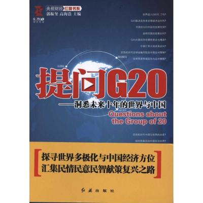 正版新书]提问G20——洞悉未来十年的世界与中国:洞悉未来十年