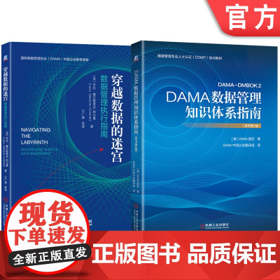套装 正版 共2册 DAMA数据管理知识体系指南 原书第2版 穿越数据的迷宫 数据管理执行指南 劳拉 塞巴斯蒂安 科
