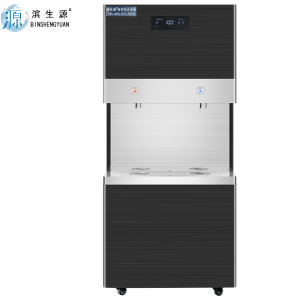 滨生源商用步进式开水器60升水箱BSY-RO600BK(台)