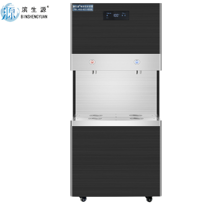 滨生源商用步进式开水器60升水箱BSY-RO600BK(台)