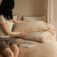 轻奢风冬季250g加厚牛奶绒花毛边四件套 床单被套床笠床品1.8m