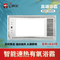 添艺顶美 智能电器 浴霸(E-13灰)安全速热 强劲双核取暖浴霸卫生间 多功能浴室暖风SENSHIMD