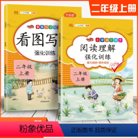 [正版]汉之简看图说话写话强化训练阅读理解二年级上册套装2本小学2年级上册语文专项训练课内阅读课外阅读理解专项练习册小
