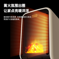 先锋取暖器暖风机家用仿真火焰壁炉热风机石墨烯客厅新款电暖气2265/DNF-TH1R