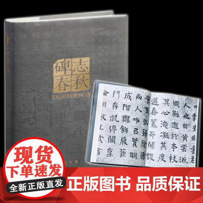 碑志春秋——石头上的历史事件与人物 王强 著 上海书画出版社