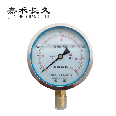 嘉禾长久 耐震压力表检测型 YTN100 0-0.4Mpa 块