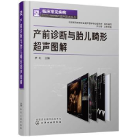 音像产前诊断与胎儿畸形超声图解罗红 主编