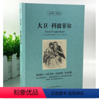 [正版]大卫·科波菲尔 读名著学英语 狄更斯著中英对照增强阅读能力强化词汇巩固语法训练短语中小学生中英文双语英汉对照读