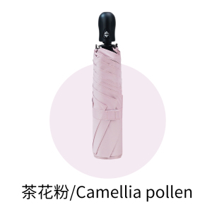 红叶(Hong Ye)红叶超轻全自动雨伞女晴雨两用太阳伞小巧便携防晒遮阳伞防紫外线