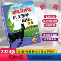 [单元检测]语文课外阅读A版 小学六年级 [正版]2024新版新黑马阅读语文课外阅读训练A版通用版小学六年级全一册6年级