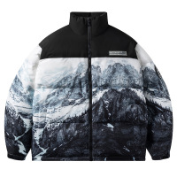 羽绒服男士立领加厚男女同款秋冬季白鸭绒保暖休闲潮牌情侣外套男