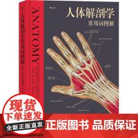 [精装]人体解剖学常用词图解 人体解剖学入门指导 解剖学术语释义词典图解涂色练习医学书籍奈特人体解剖学彩色图谱书籍