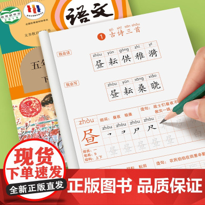 2025版 五年级下册字帖 小学语文上册人教版课本同步练字帖每日一练小学生五下带笔顺笔画四升五寒假 下学期练字本5下描红